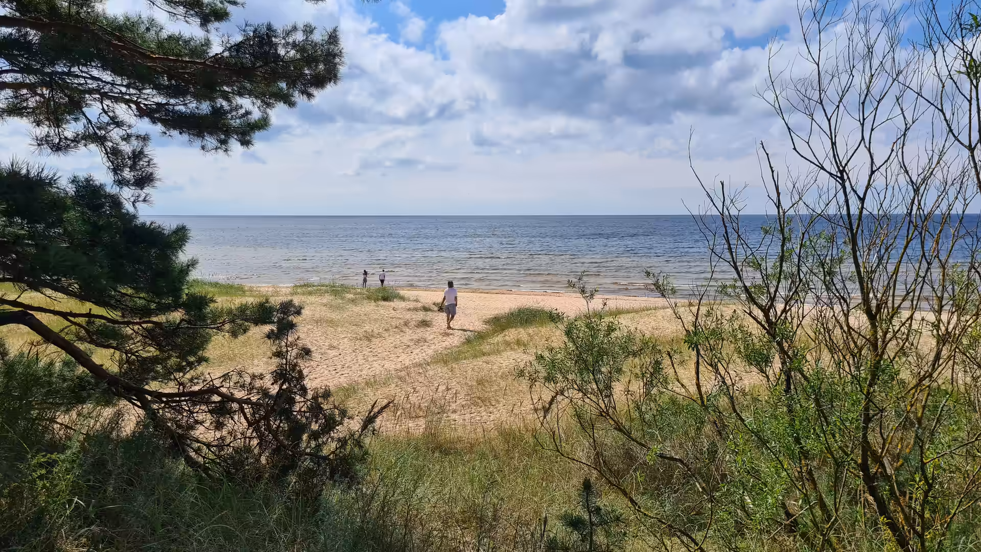 Heller Sandstrand mit Dünengras und ruhigem Meer unter blauem, leicht bewölktem Himmel.